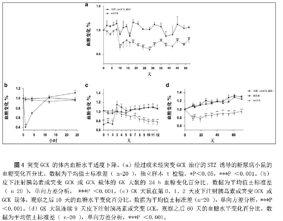STZ 降低糖尿病鼠模型的GCK 表达水平-4.jpg